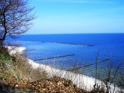 panoramic view of the coast of the island of Usedom on a sunny day