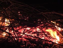 Fire Night Flame