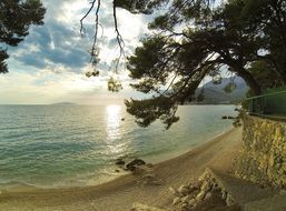 Sea Tree Beach