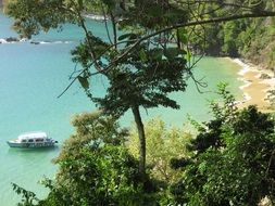 mesmerizing Tobago Beach