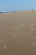 footprints in the sand at lacanau beach on the atlantic coast