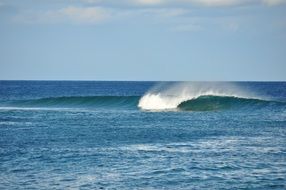 Big wave on a sea