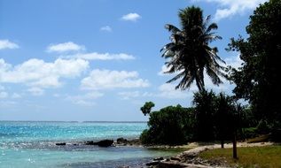 photo of the tropical coast of Tabuaran