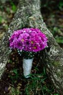 pink Bouquet Flowers