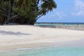 paradise beach in Maldives