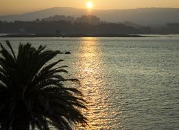 tropical coast at sunset