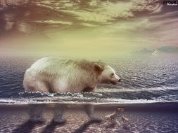Fantasy Bear drawing