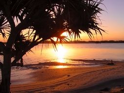Peaceful Coastline