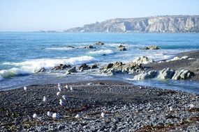 charming New Zealand Beach