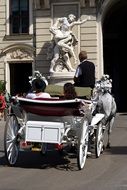 horse carriage on the square in vienna