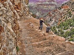 grand canyon in the national park