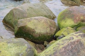 Stones with the moss in Latvia