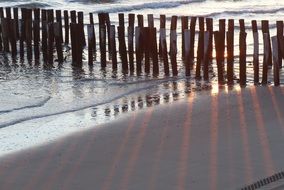 paling in the sea on the shore of the island of Walcheren, Netherlands