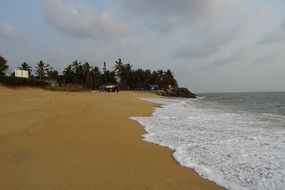 Arabian Sea