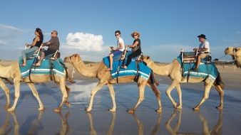 Camel Ride