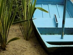 blue boat in the reeds