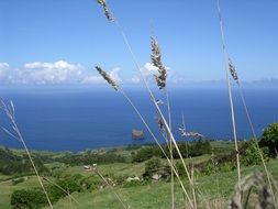 Azores Sea Coast