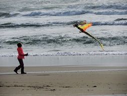 flying kite on the ocean beach