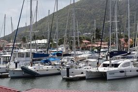 Catamaran and Sailboat and Yacht