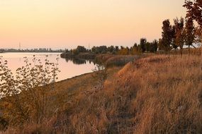 autumn grass on the lake against the backdrop of pink dawn
