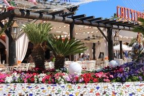 colorful summer in tenerife