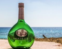 Wine Bottle mateus