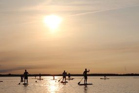lot of people rowing at sunset