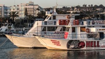 Ayia Napa Harbour Cyprus