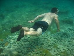 Diving Summer