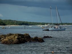 sailing catamaran