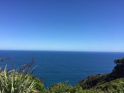 New Zealand Scenery