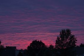 Pink Purple Sky Dusk