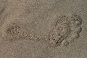 Beach Footprint