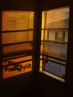 sunset view