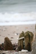 the rope to a stone on the beach on a blurred background