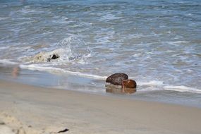 charming Baltic Sea beach