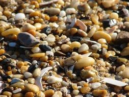 yellow and grey Pebbles on Beach