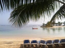 deckchairs under palms on the beach in the Caribbean