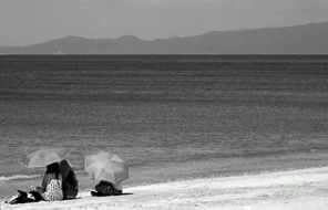 Beach Umbrella monochrome photo