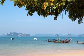 Thailand's scenic nature