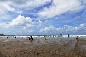 people on the wide wet sandy coast
