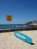 lifeguard on the bondi beach