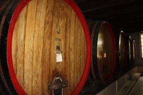 Weingut Blaauwklippen in South Africa
