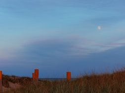orange poles on the beautiful beach of the Baltic Sea with the plants