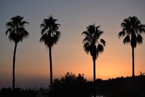 Landscape of hvar at the sunset