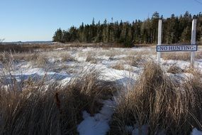 Landscape of coastline in Nova Scotia