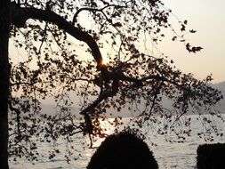 unimaginable Lugano Lake