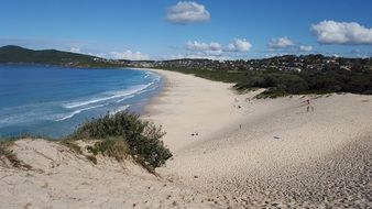 Sand Dunes on a ocean bank