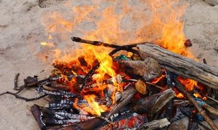 Fire Wood close-up