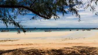 shade from trees on a sunny tropical beach